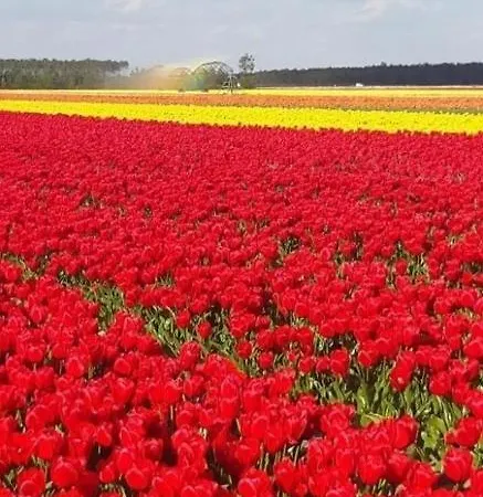 Plein Vent بيت للعطل سوستون