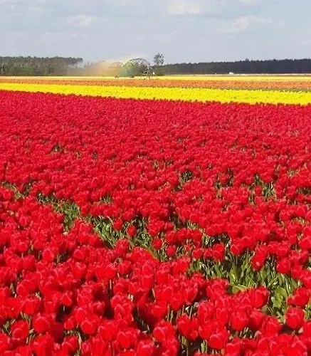 Plein Vent Tatil Evi Soustons