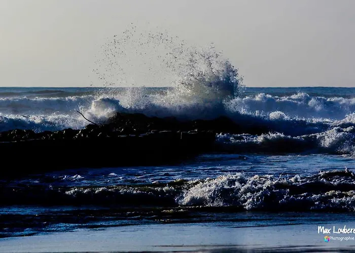 Tatil Evi Plein Vent Soustons