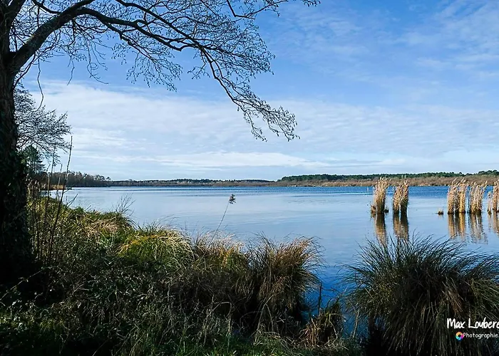 Tatil Evi Plein Vent Soustons